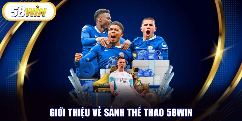 Giới thiệu về sảnh thể thao 58WIN